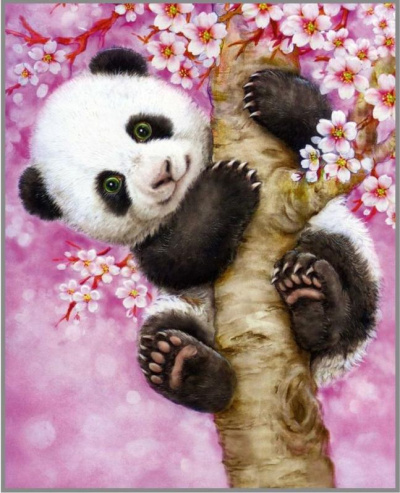 N-260 Картина (Весёлая панда) Алмазная мозаика 20x25см, 21 цвет