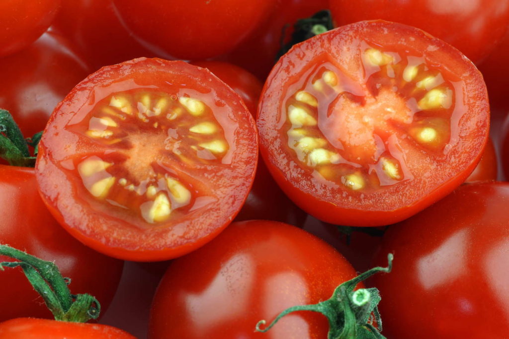 Семена томатов оптом в Новосибирске