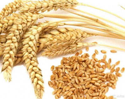 Пшеница 1 кг  /АСК/