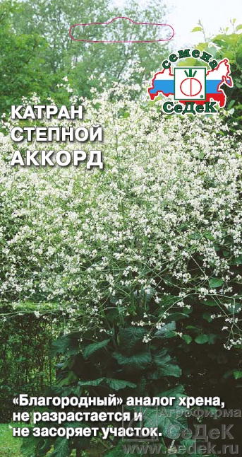 Катран Аккорд * /СеДек/ 0,3 гр