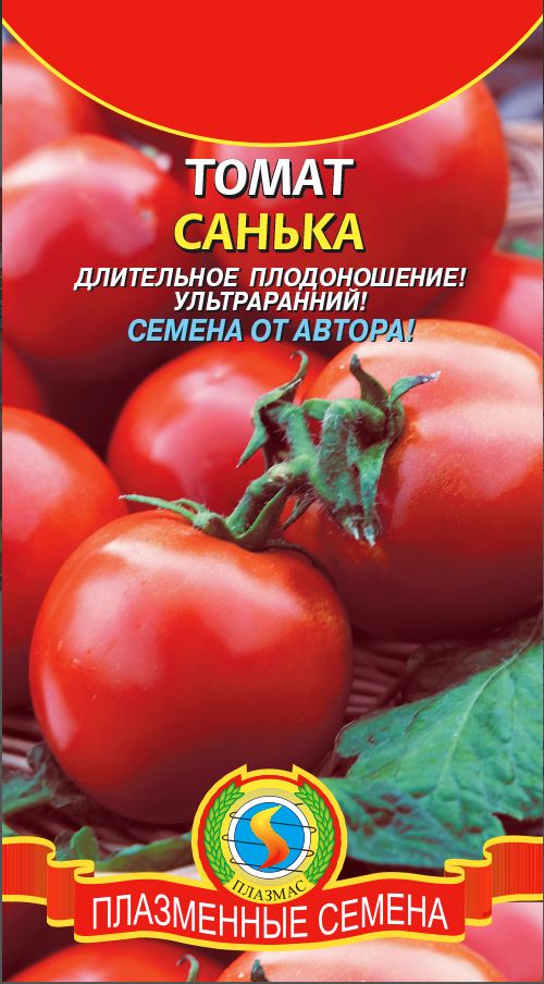 Сорт томатов саня. Семена томат Санька. Сорт томатов Санька. Семена помидор Санька.